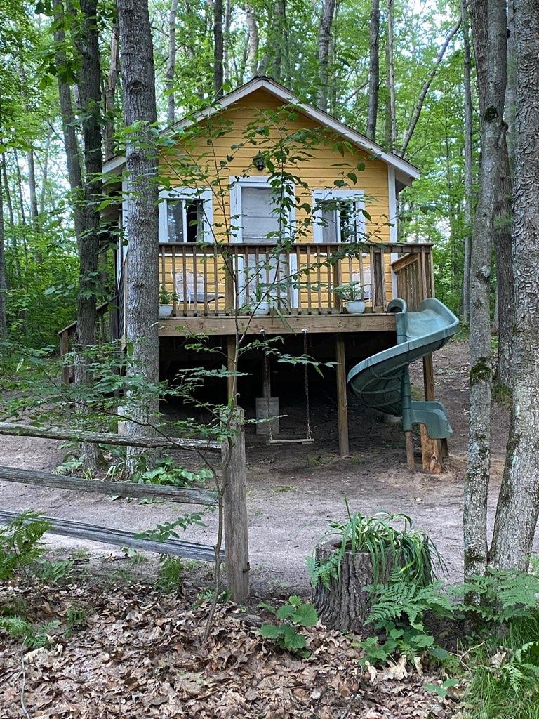 The Tree House 