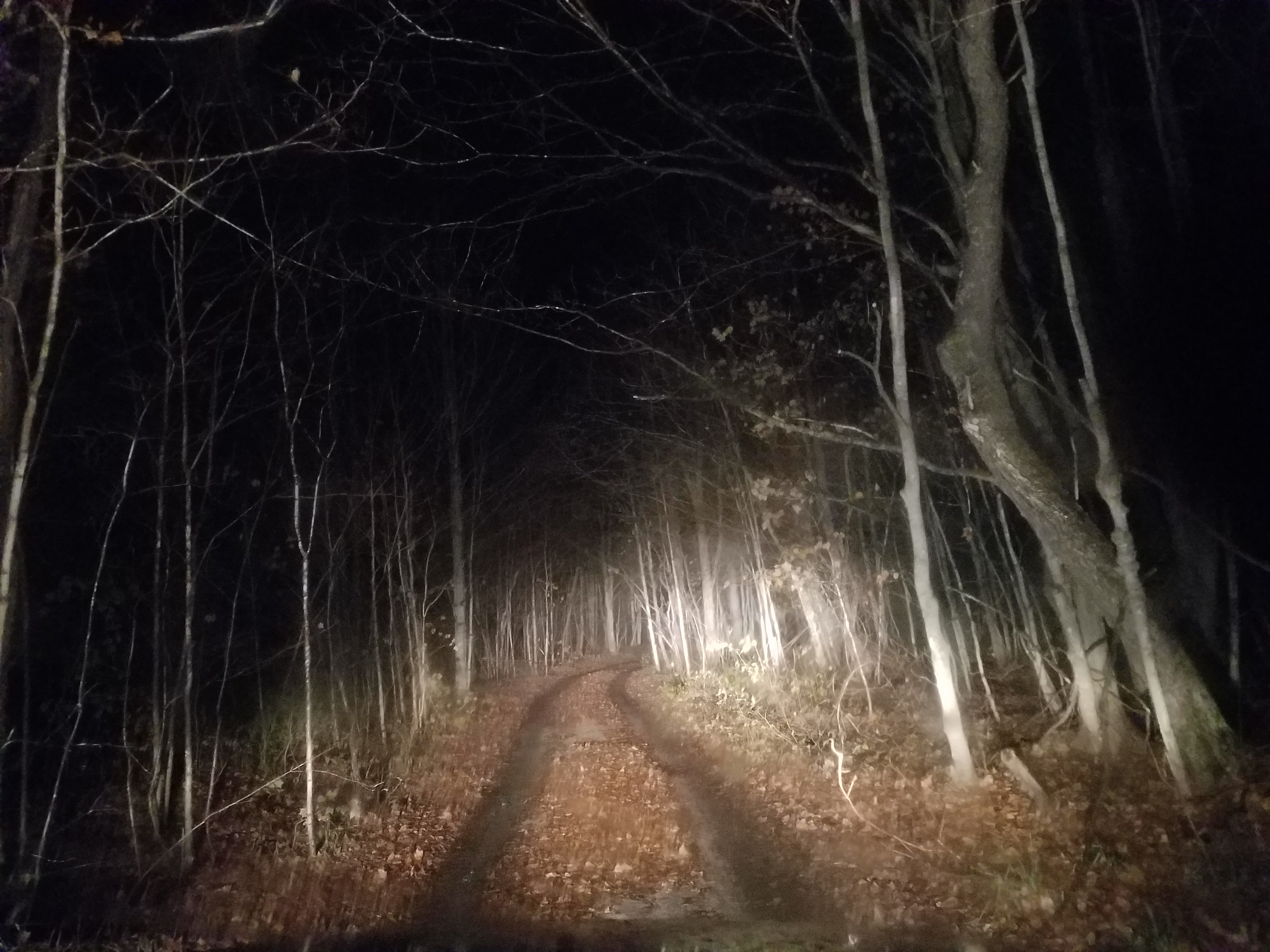 400 acres of private forest-Tent-RV