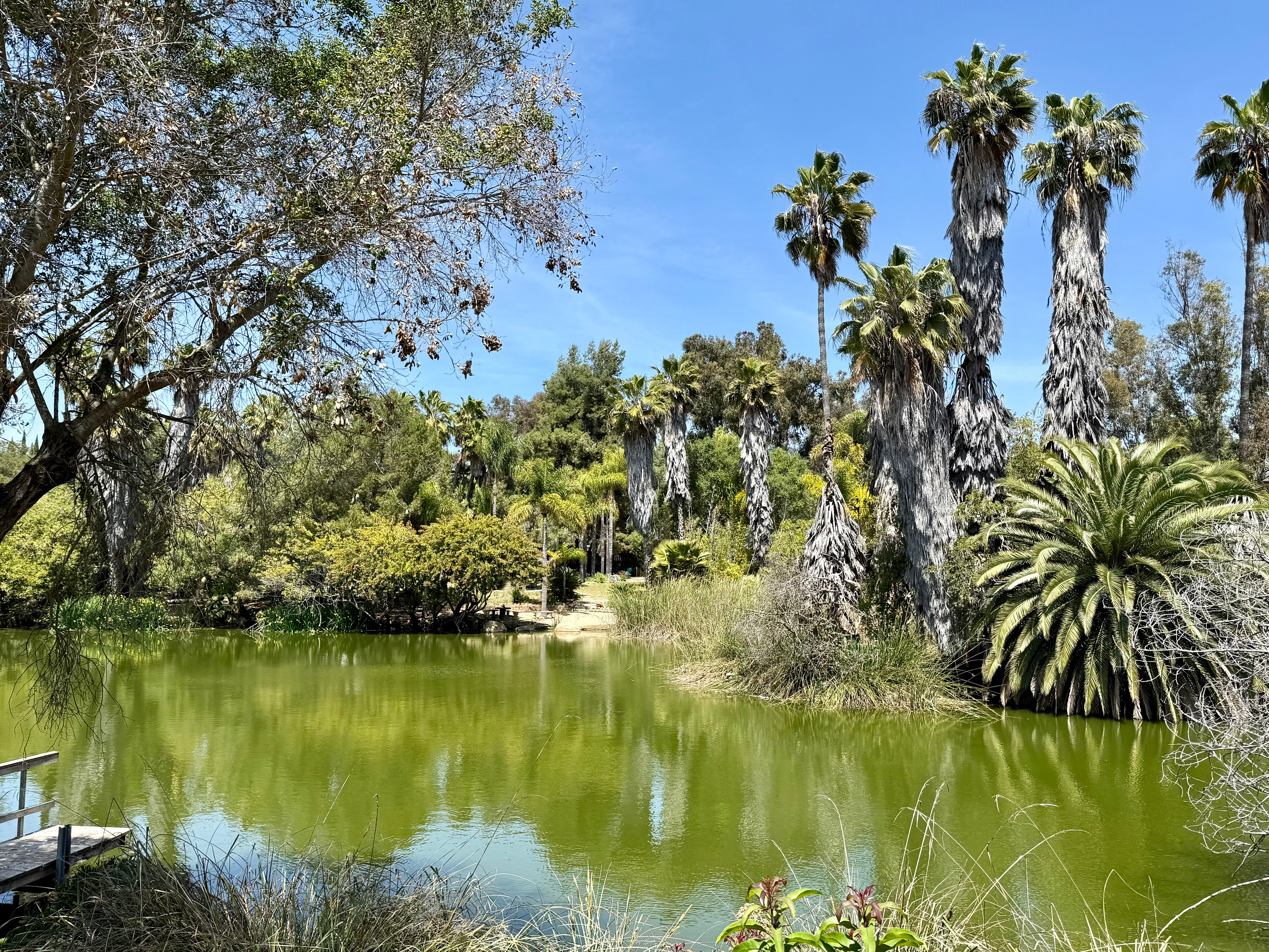Hidden Waters