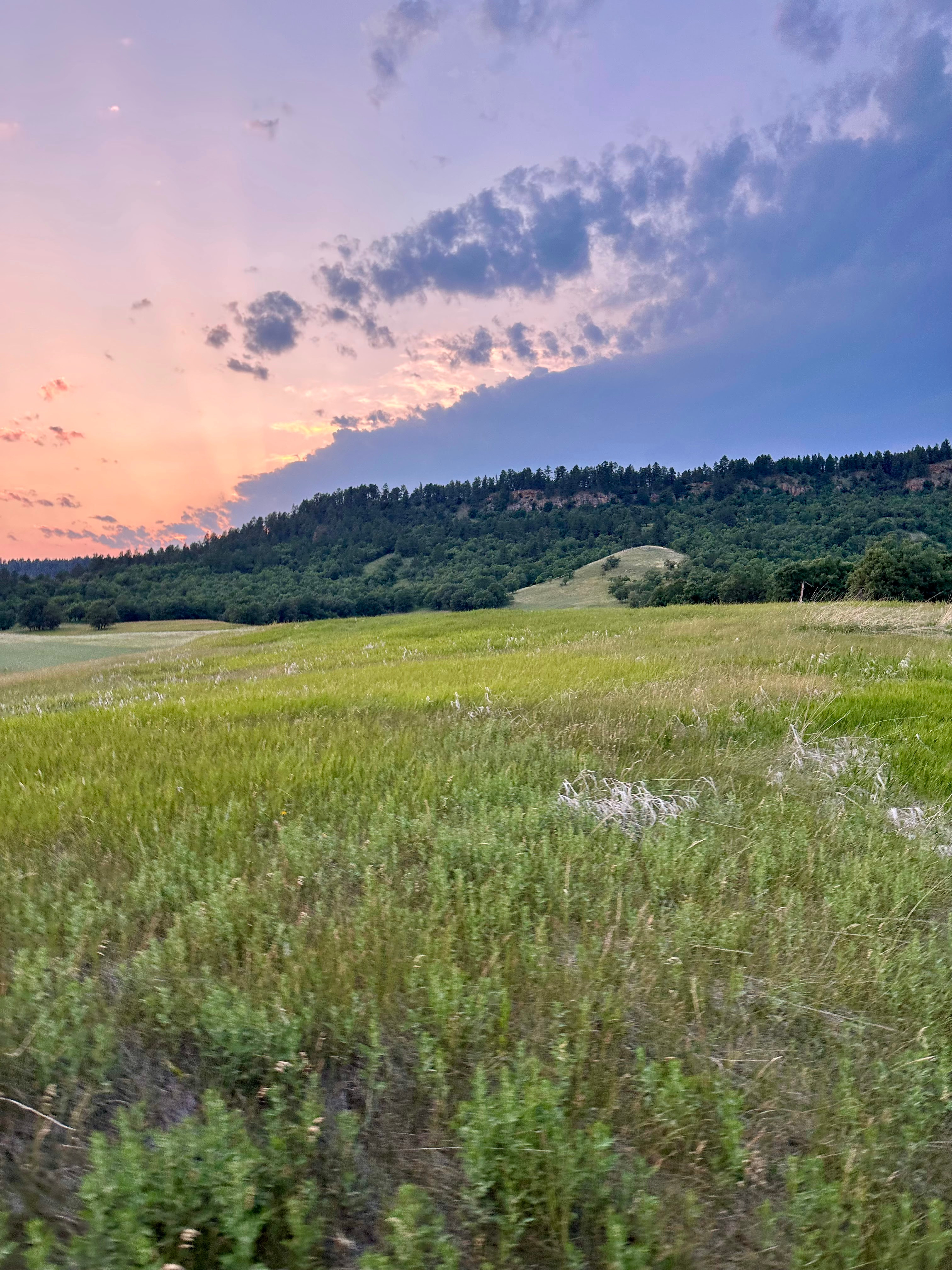 Hidden Acres