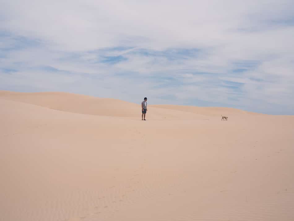 Monahans Sandhills State Park