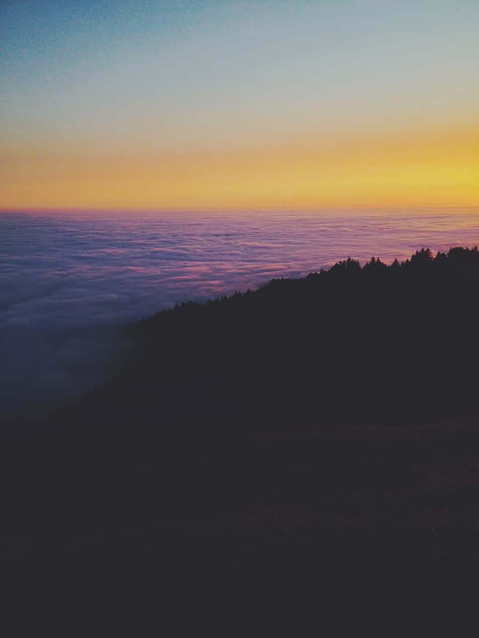 Mount Tamalpais State Park