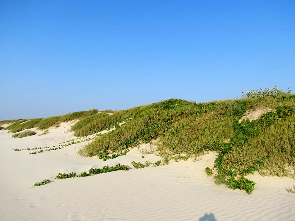 Mustang Island State Park