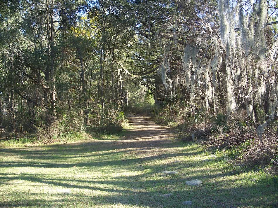 Cross Florida Greenway