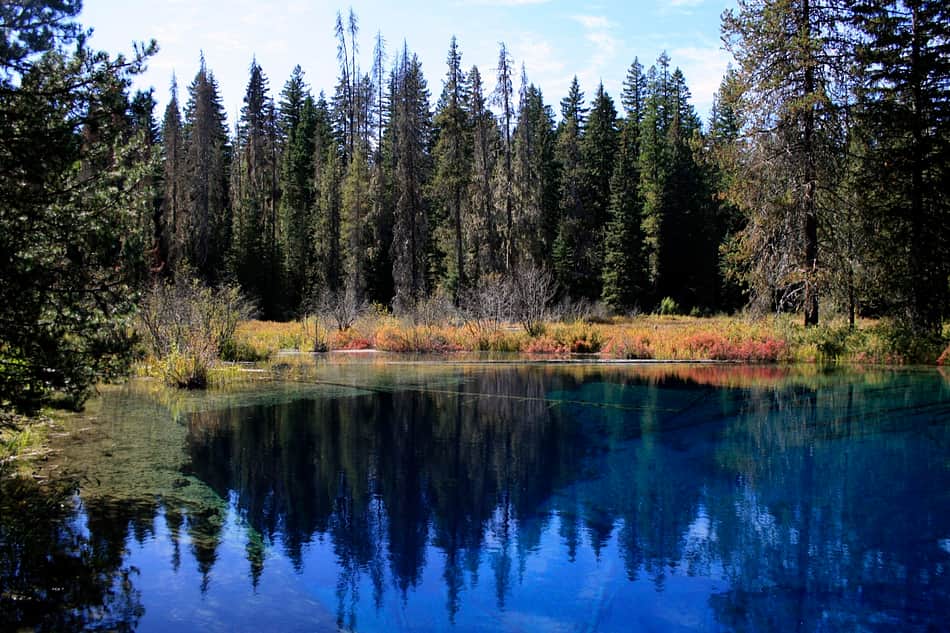 Mt. Hood National Forest