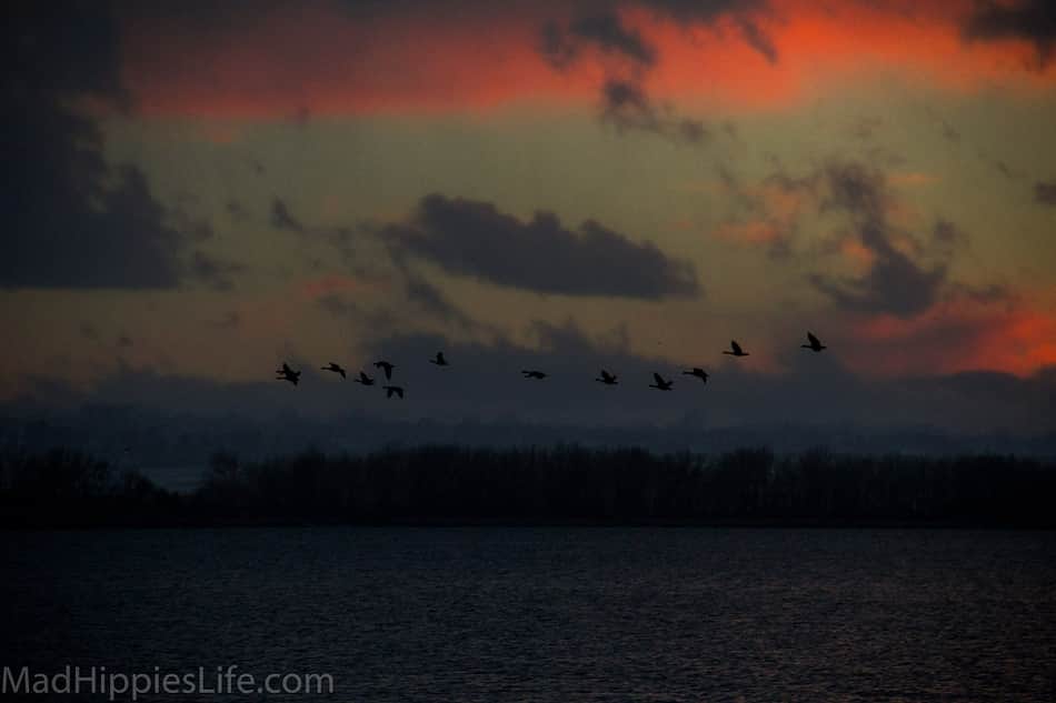 Cherry Creek State Park