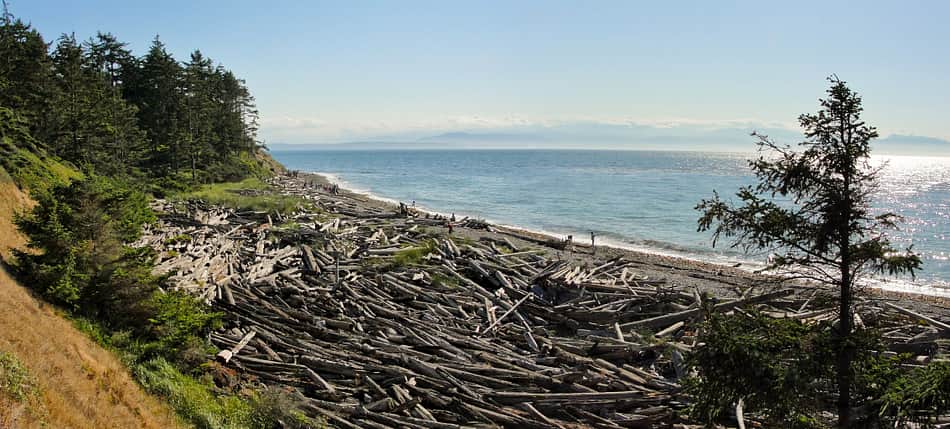 Fort Ebey State Park