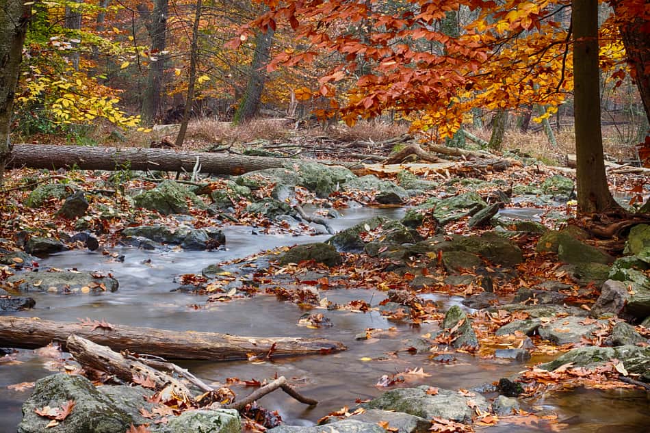 Cunningham Falls State Park