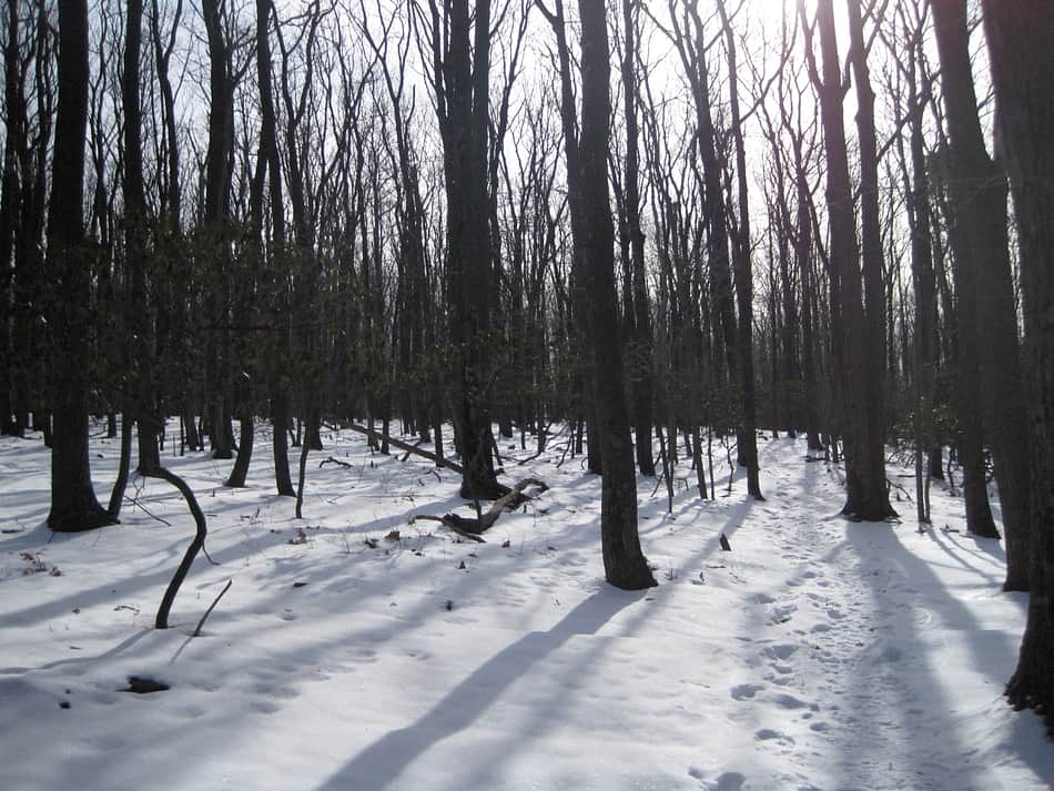 Catoctin Mountain Park