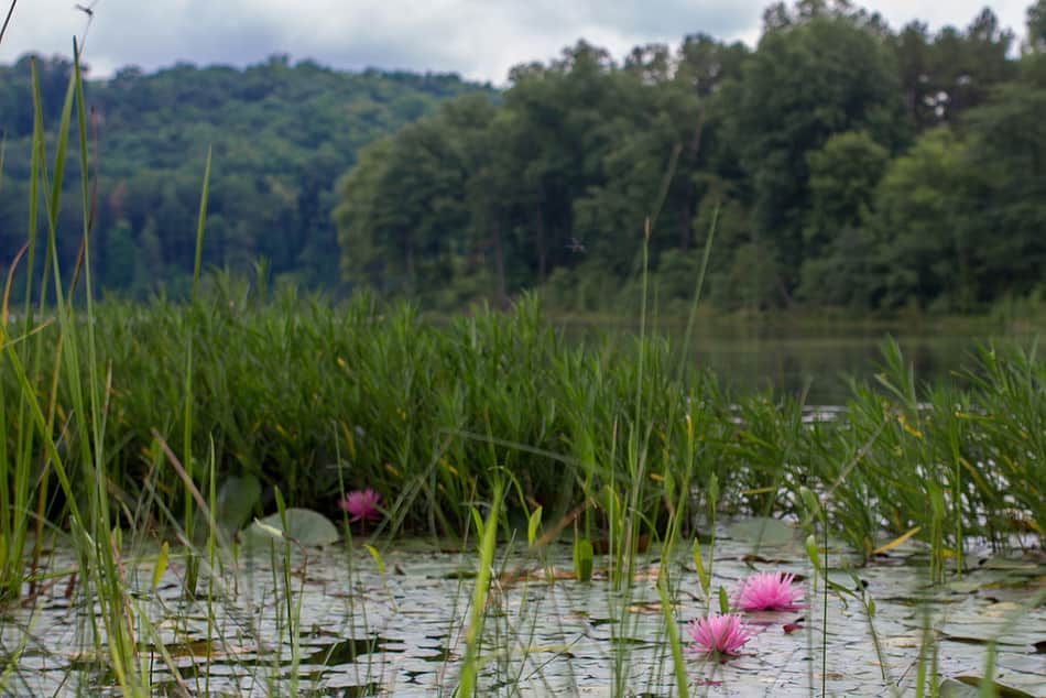 Lake Hope State Park