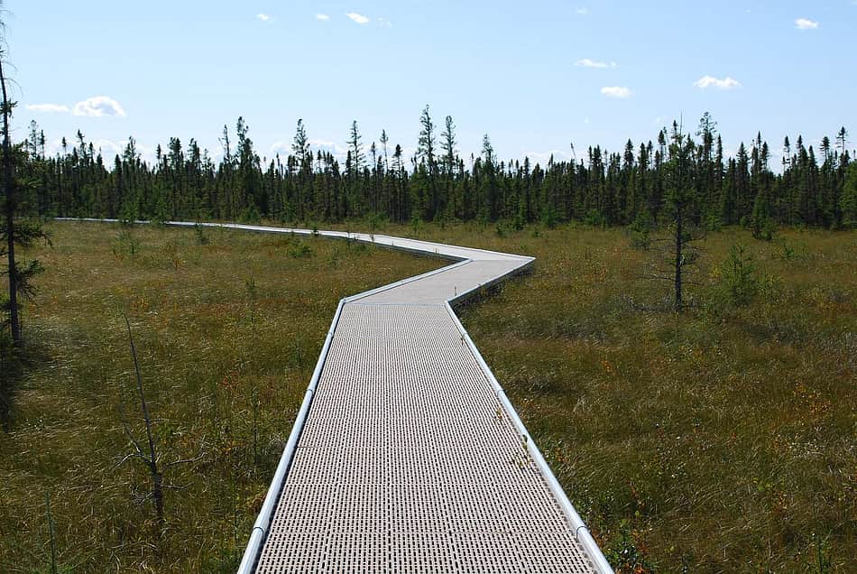 Big Bog State Recreation Area