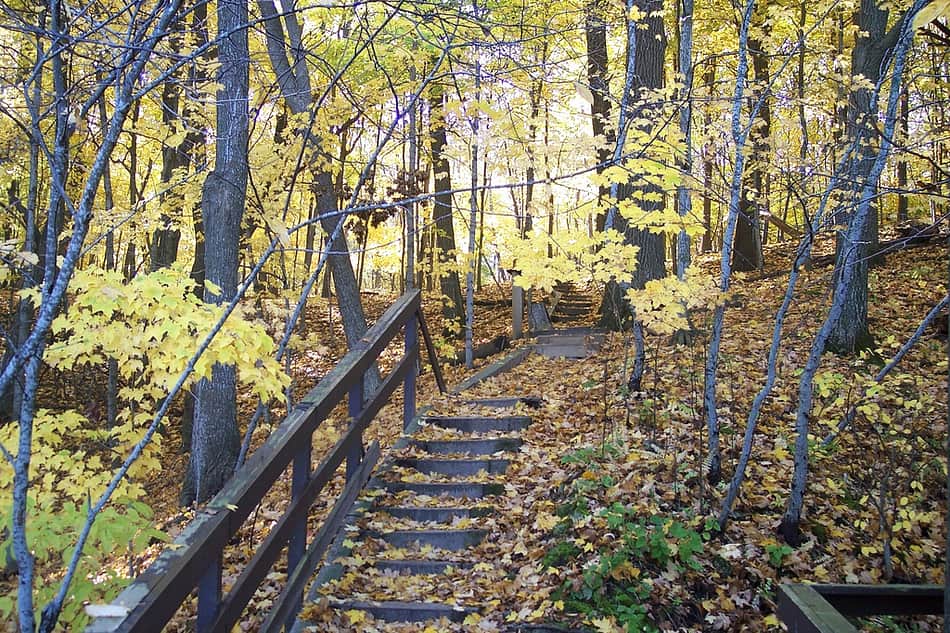 Frontenac State Park