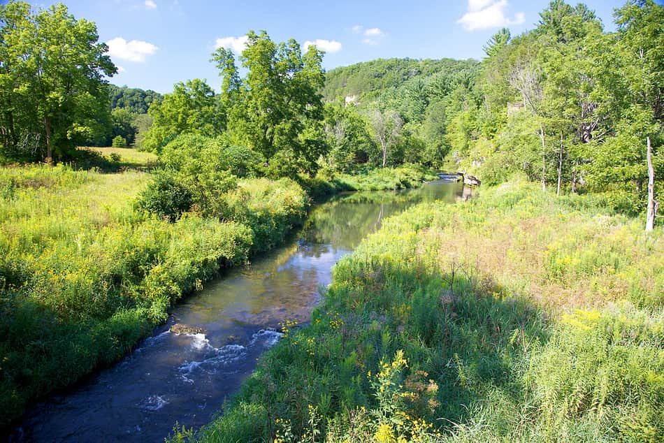 Whitewater State Park MN