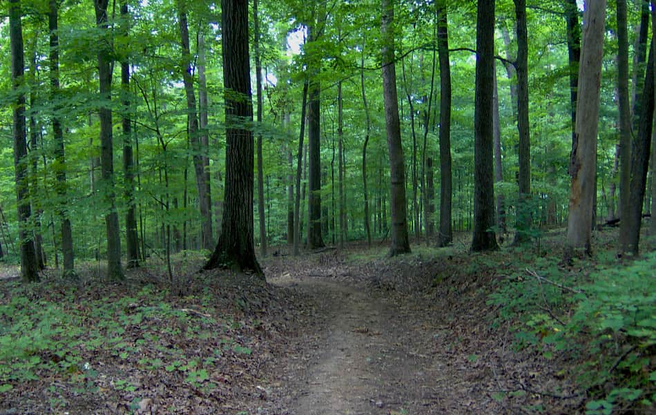 Norris Dam State Park