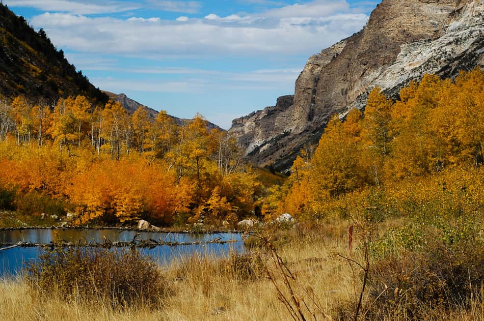 Beaver Dam State Park Nevada