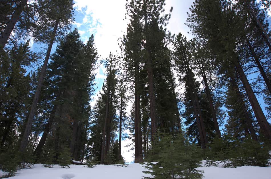 Spooner Lake