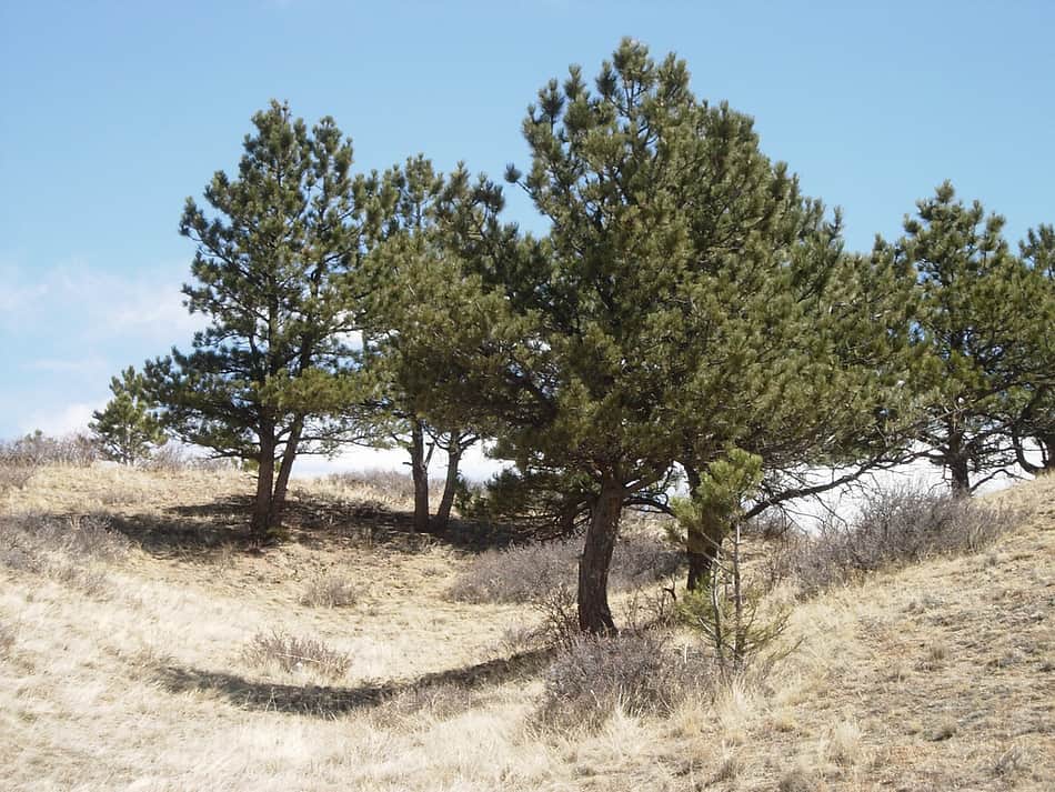 Curt Gowdy State Park
