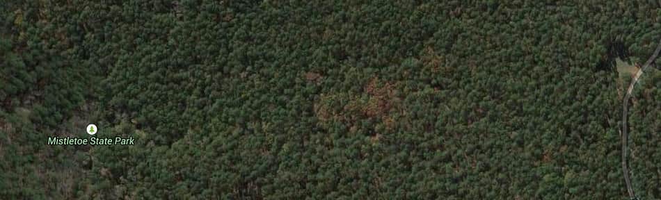 Mistletoe State Park