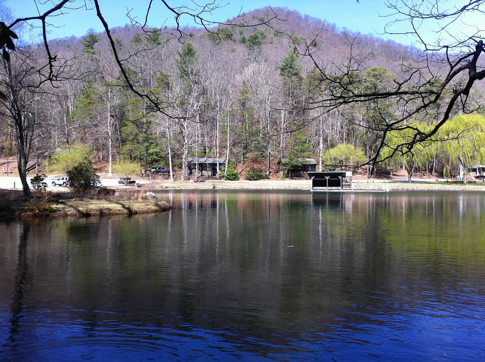 Vogel State Park
