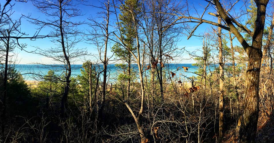 Dune top view was amazing! You could see the Chicago skyline 