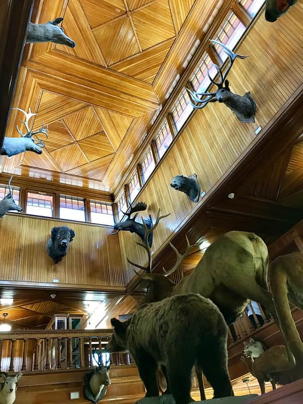 Banff Park Museum National Historic Site