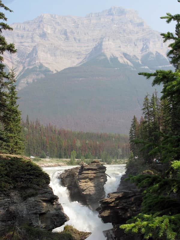 Jasper National Park