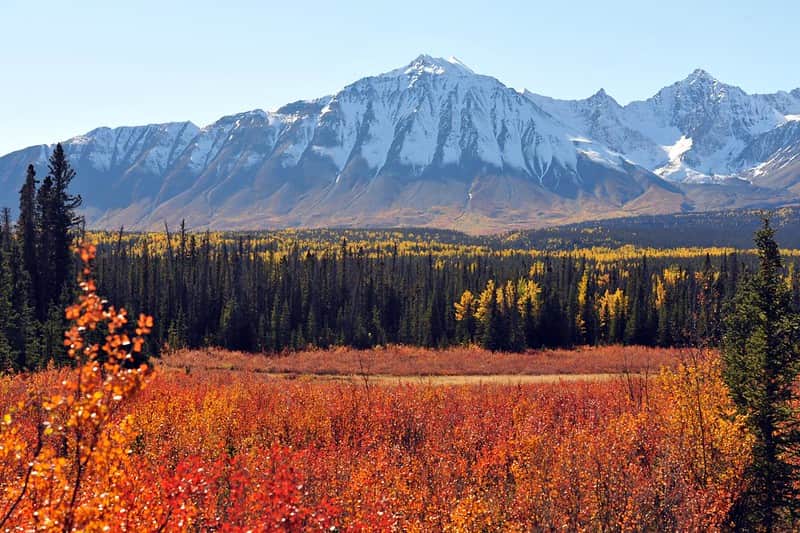 Kluane National Park