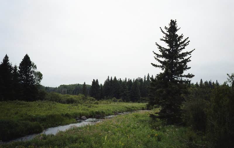 Riding Mountain National Park