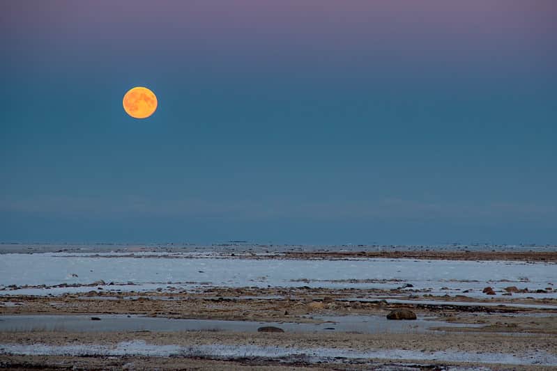 Wapusk National Park