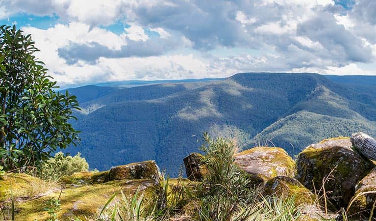 Barrington Tops National Park